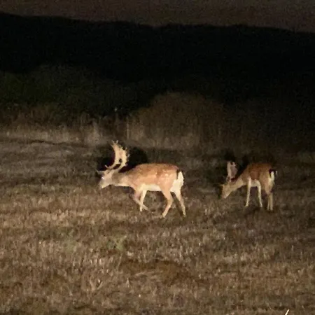 Helios - Of Rhodes Lakhania