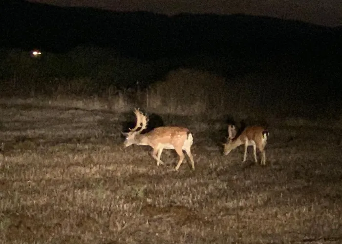 Helios - Of Rhodes 라카니아